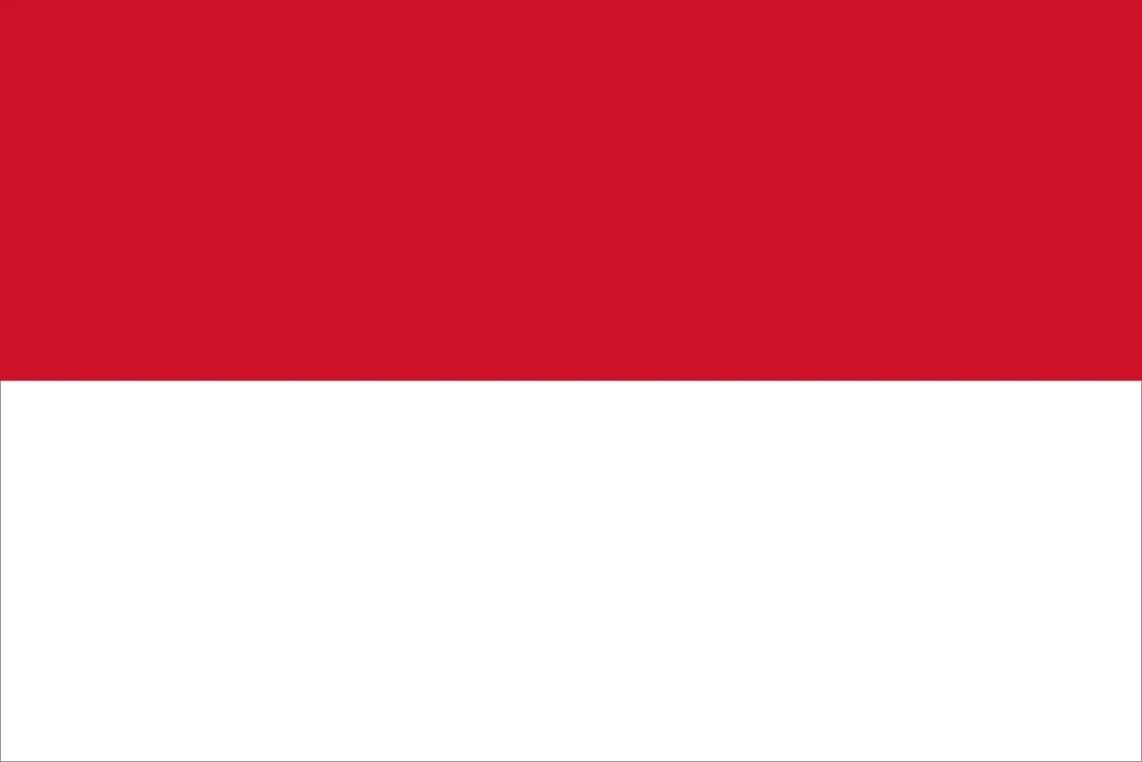 indonesia Flag