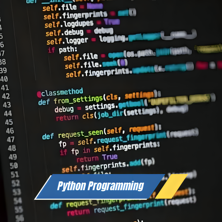 Python Programming